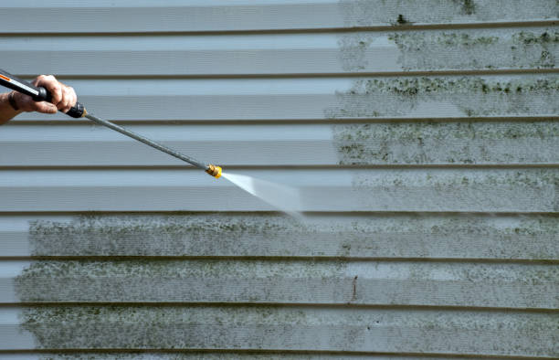 Boat and Dock Cleaning in Creston, OH